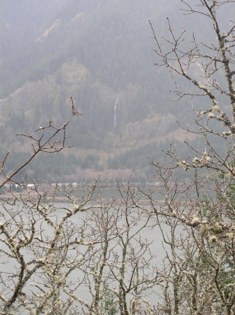 3.24.06 Dog Mountain 056 